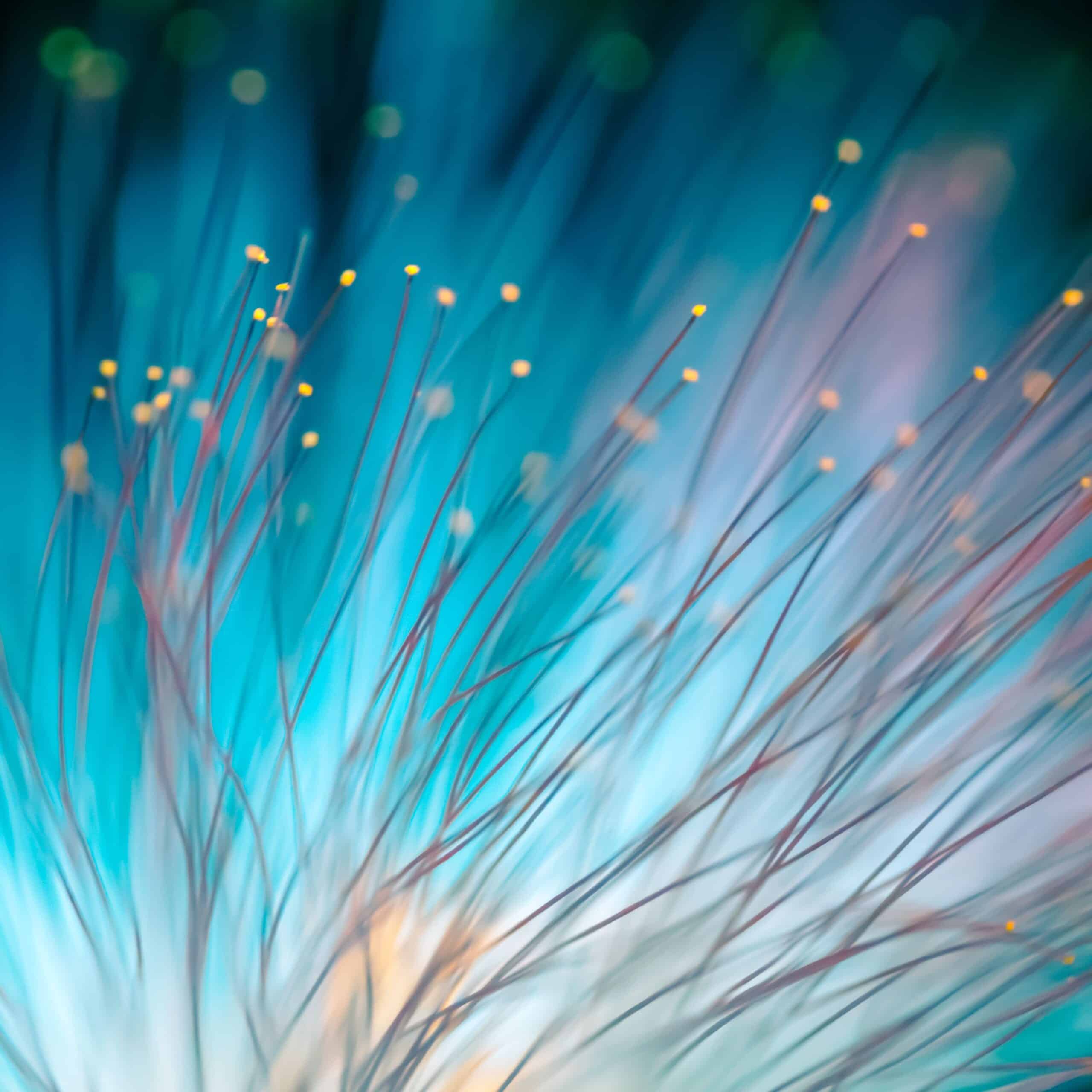 TECH TUESDAY: Why More Trading Firms Are Considering Co-Location with ...