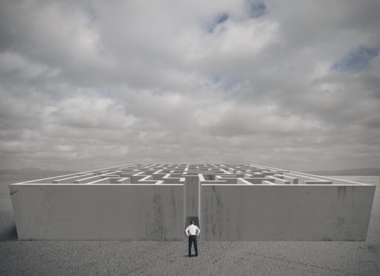 man standing in front of a maze
