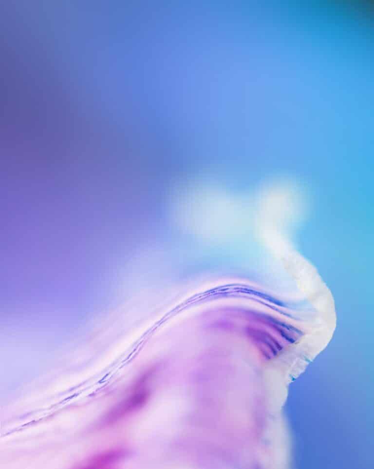 TECH TUESDAY: How Trades Speed Between Venues