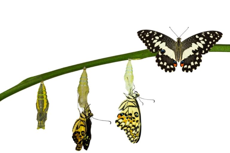 Post-Trade Modernization a “Game Changer” for Canada